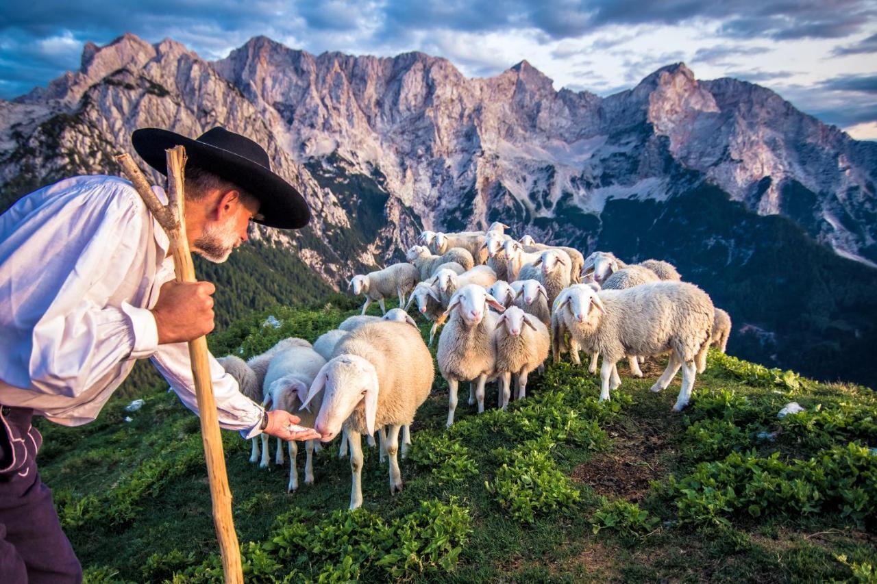 Tourist Farm Senkova Domacija Villa Zgornje Jezersko Bagian luar foto